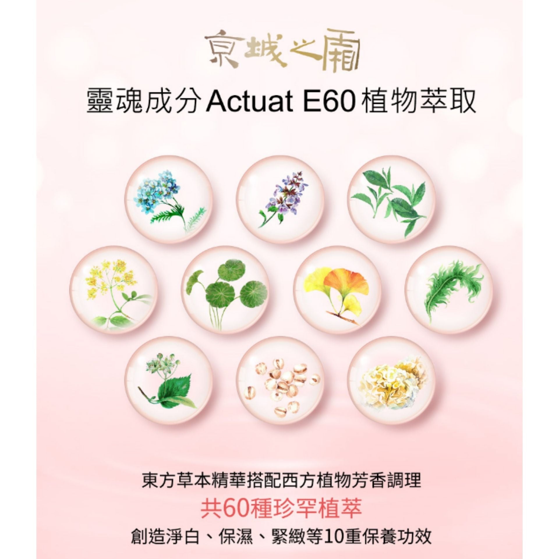 牛爾 | 京城之霜 60植萃十全頂級精華霜 12g <新升級> (平行進口) E4-1