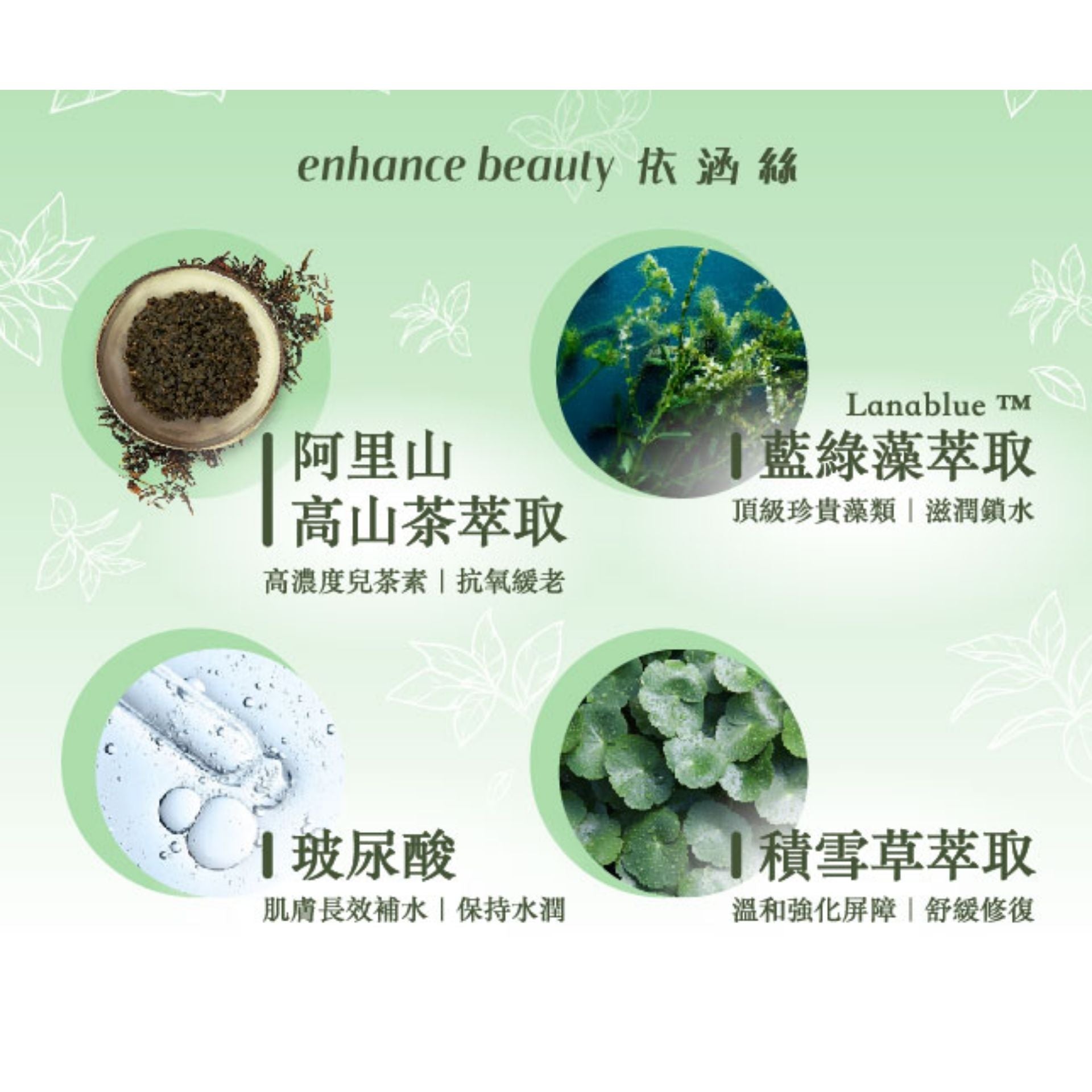 Taiwan Import | enhance依涵絲 - 阿里山高山茶保濕面膜5入 (平行進口) E4-4