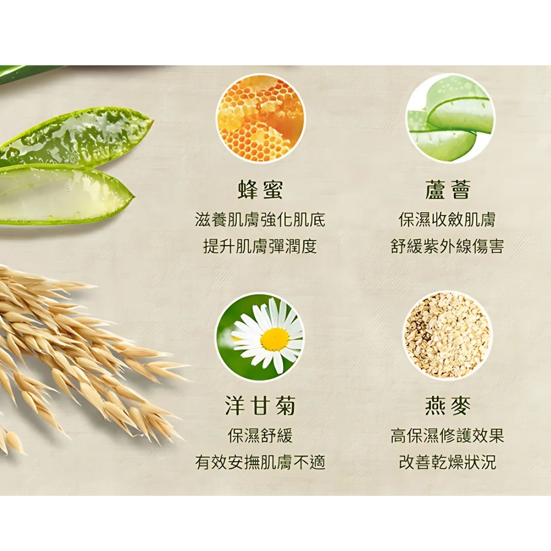 我的心機 | 大地農潤 - 極潤鮮萃蜂蜜蘆薈保濕面膜 5片裝 (平行進口) C612