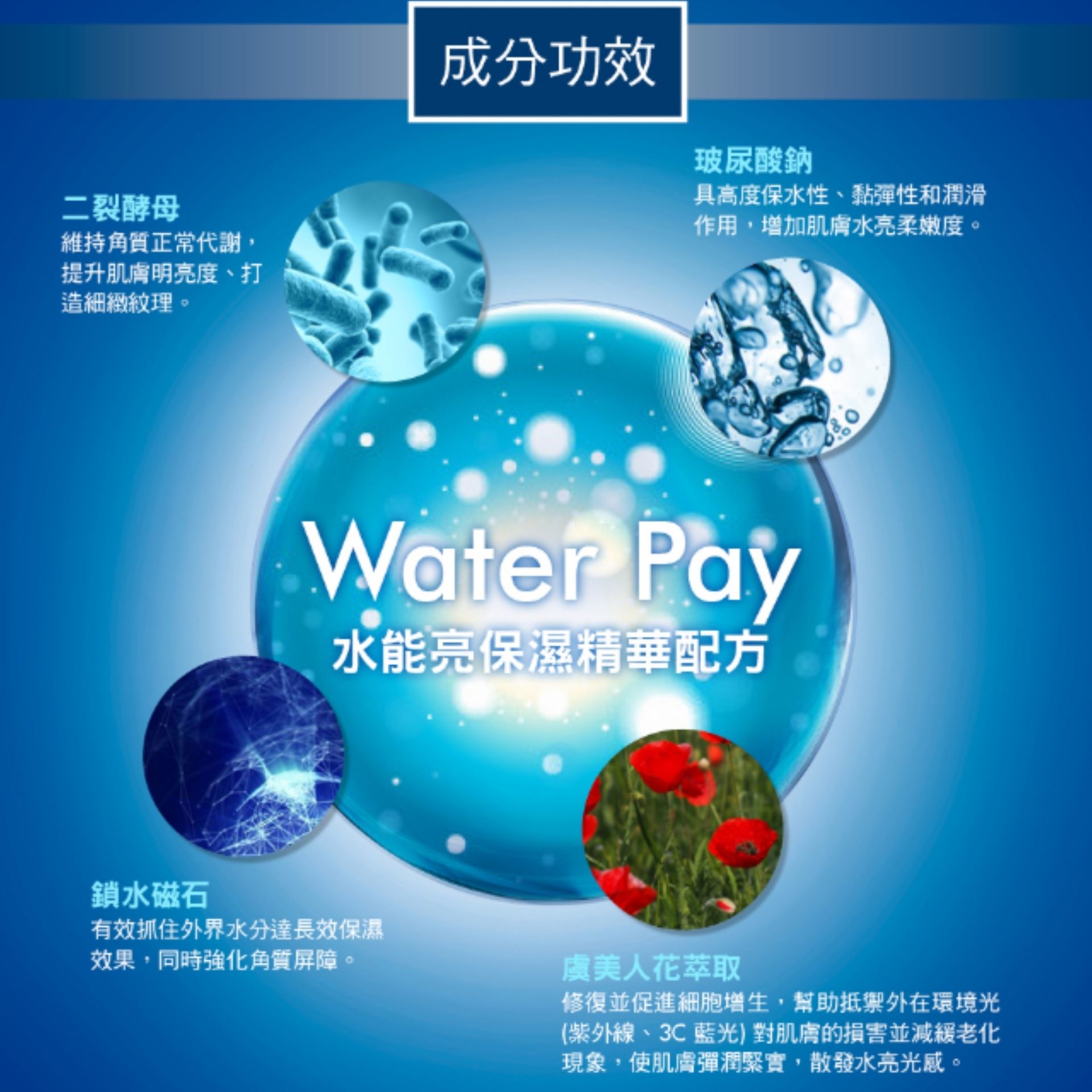 FOR BELOVED ONE | WATER PAY 水能亮微酵保濕大光圈面膜 (4片裝) (平行進口) B515