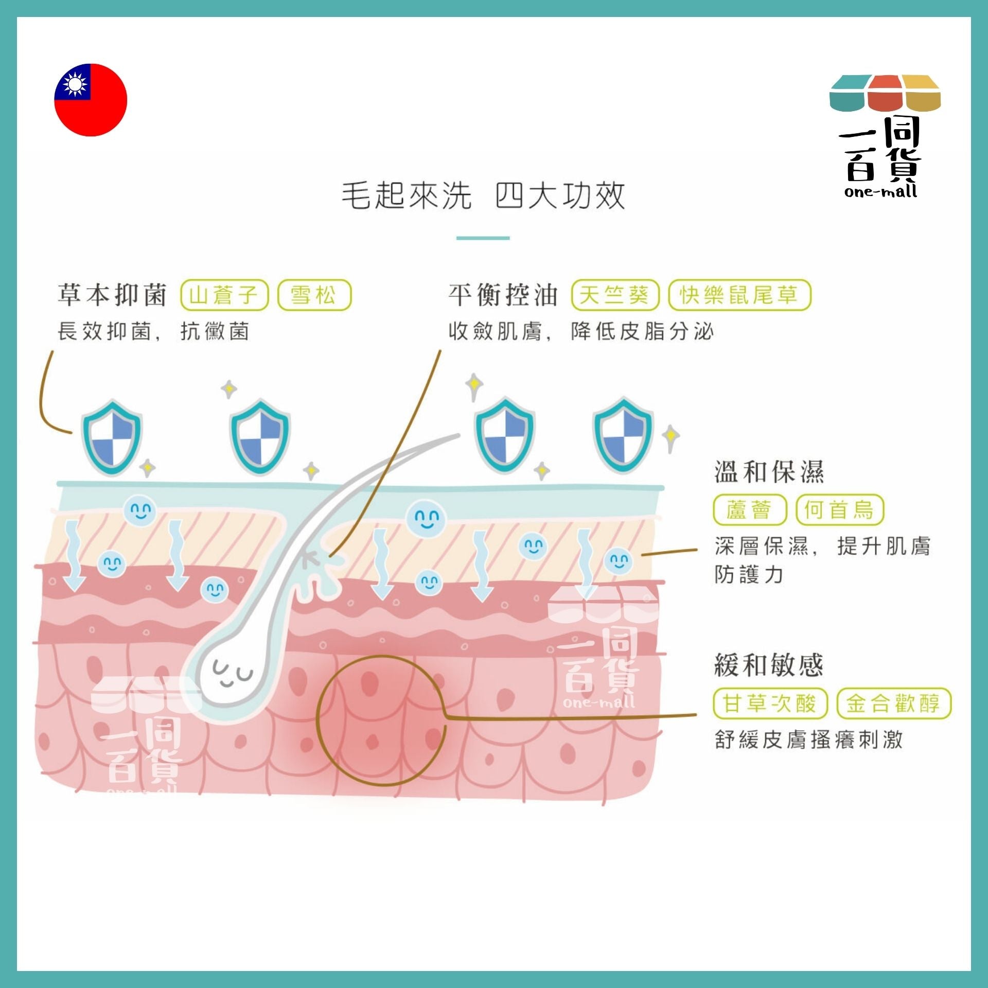 Maowash | 毛起來【草本養護】癢癢退散抗敏洗毛精 - 汪汪專用 500毫升 (平行進口) A942