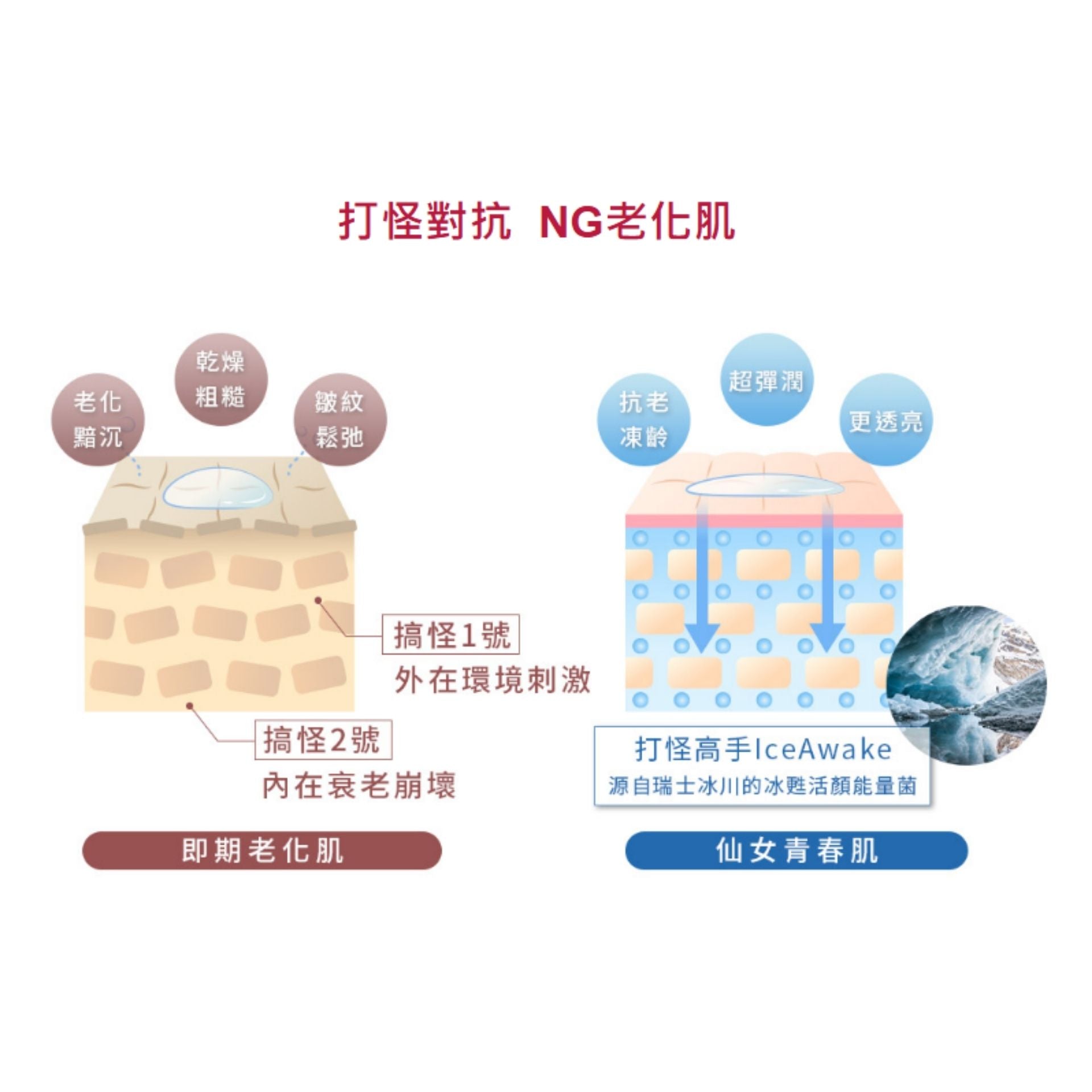 牛爾 | 京城之霜 60植萃十全頂級精華霜 12g <新升級> (平行進口) E4-1